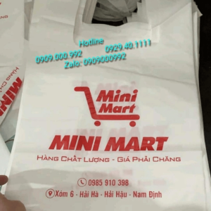 in túi siêu thị tự hủy sinh học
